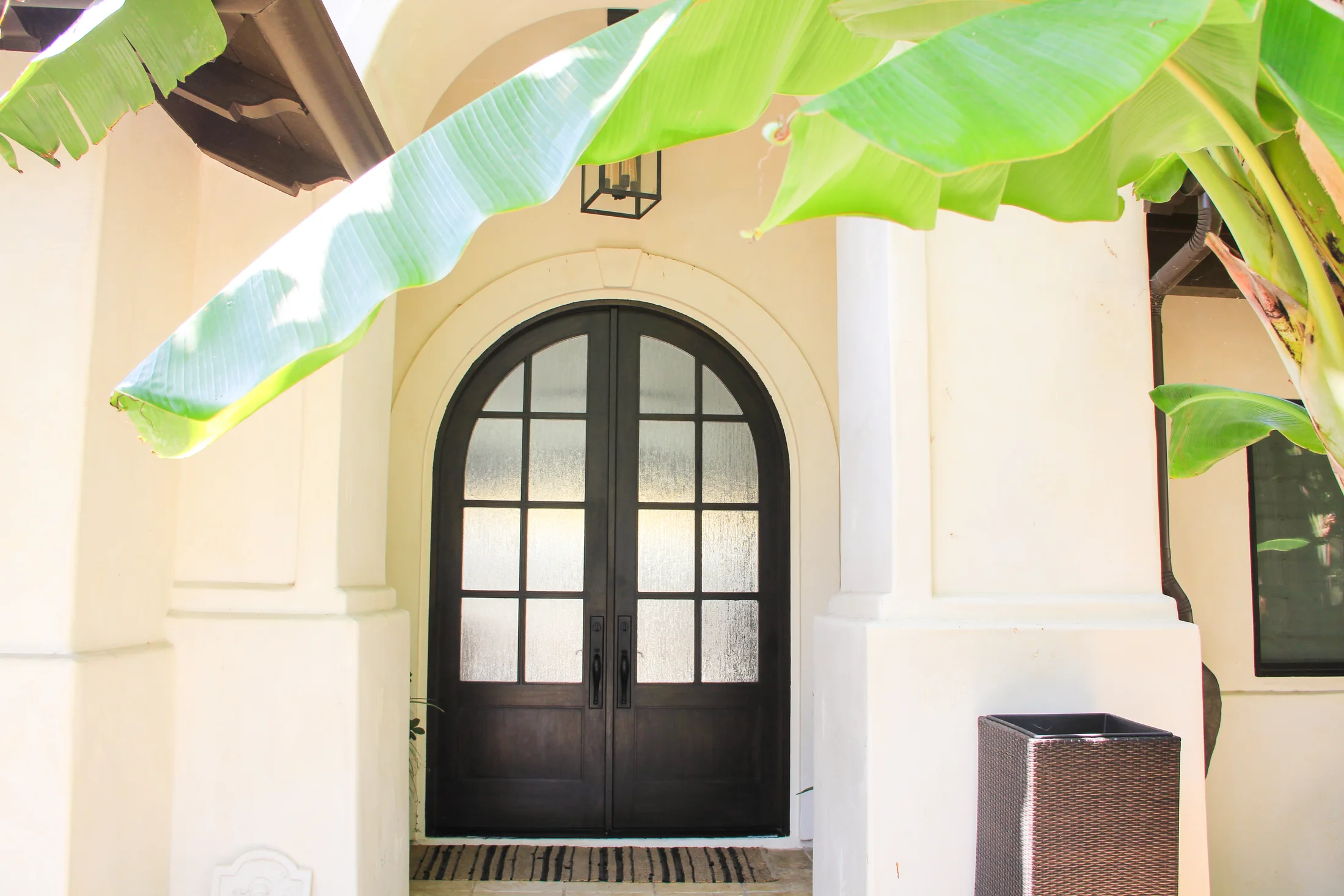 Custom black arched entry door with divided glass panes